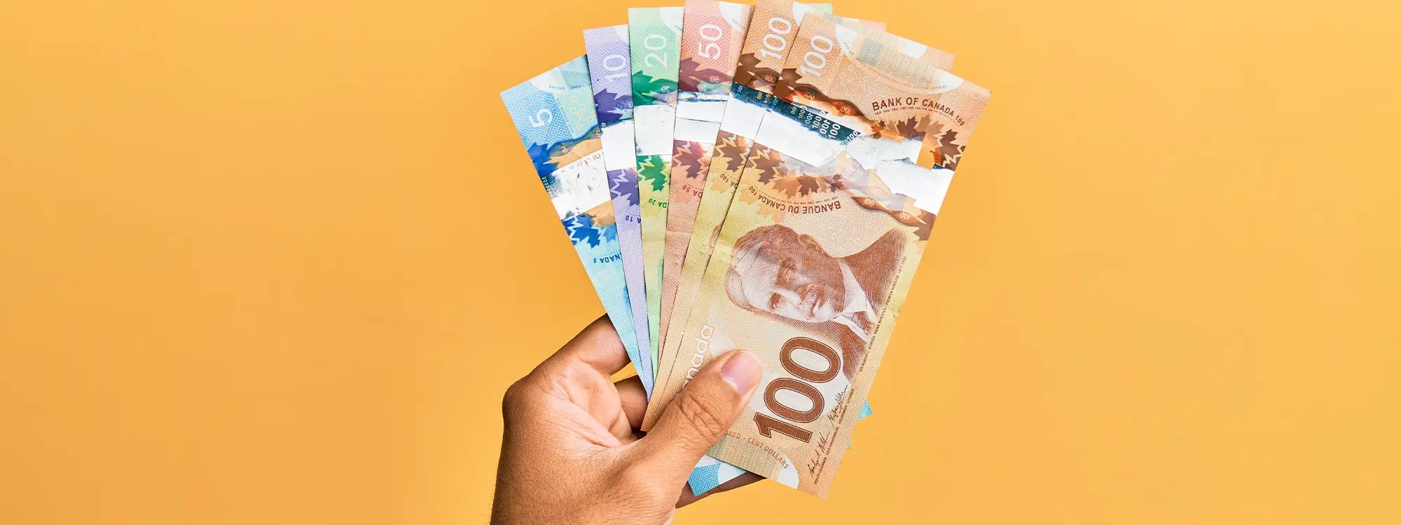cinq trucs pour economiser vos projets